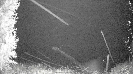 Image from 2024-10-22