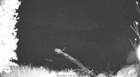 Image from 2024-10-23
