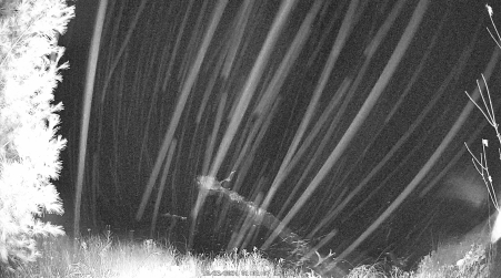 Image from 2024-10-23