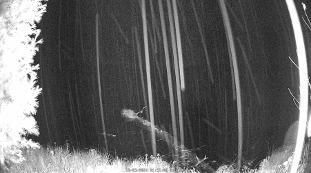 Image from 2024-10-23