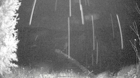 Image from 2024-10-23