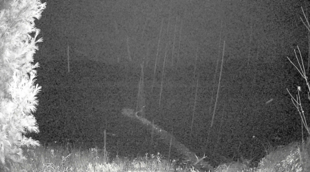 Image from 2024-10-23