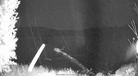 Image from 2024-10-23
