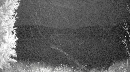 Image from 2024-10-23