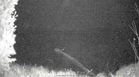 Image from 2024-10-23