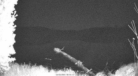 Image from 2024-10-23