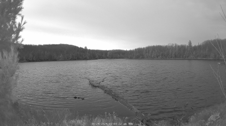 Image from 2024-10-24