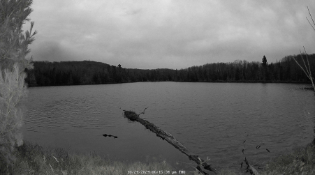 Image from 2024-10-24