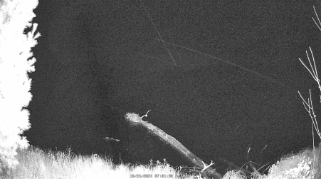 Image from 2024-10-24