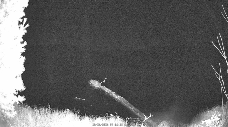 Image from 2024-10-24