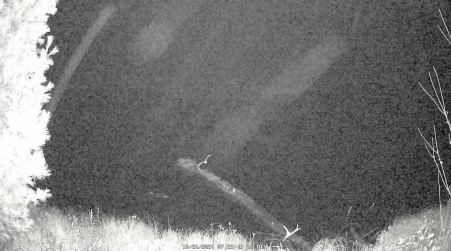 Image from 2024-10-24