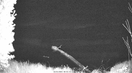 Image from 2024-10-24
