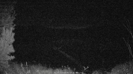 Image from 2024-10-24