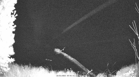 Image from 2024-10-24