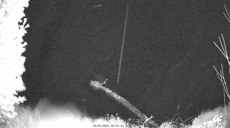 Image from 2024-10-24