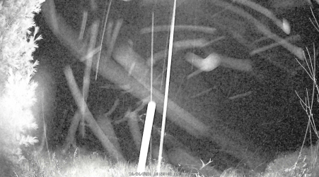 Image from 2024-10-24