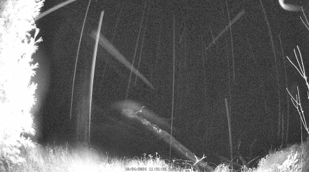 Image from 2024-10-24