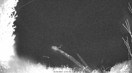 Image from 2024-10-25