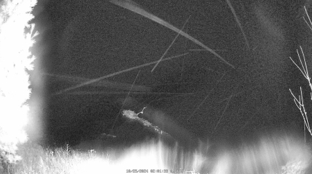 Image from 2024-10-25