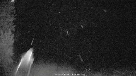 Image from 2024-10-25