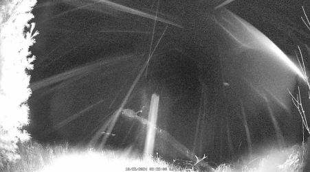 Image from 2024-10-25
