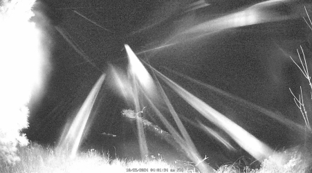 Image from 2024-10-25