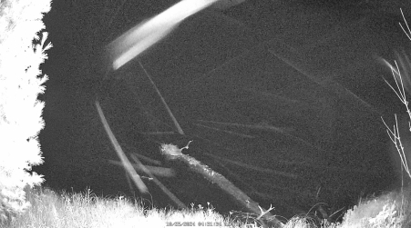 Image from 2024-10-25