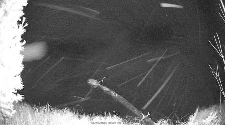 Image from 2024-10-25