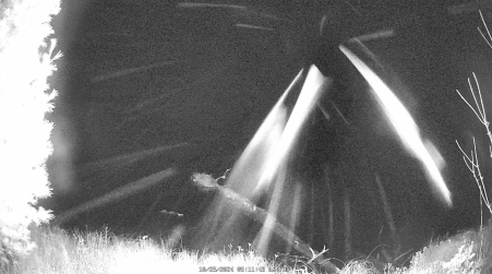 Image from 2024-10-25