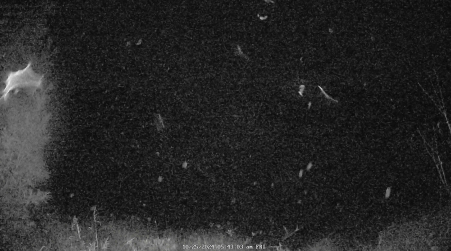 Image from 2024-10-25