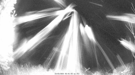 Image from 2024-10-25