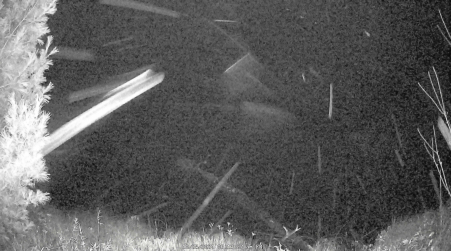 Image from 2024-10-25