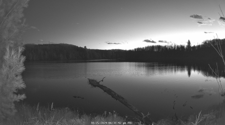 Image from 2024-10-25