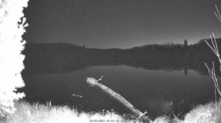 Image from 2024-10-25