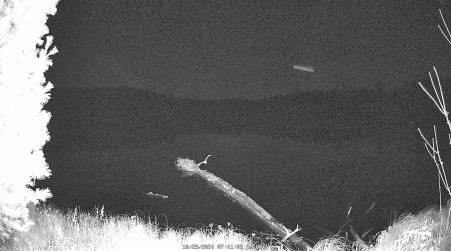 Image from 2024-10-25