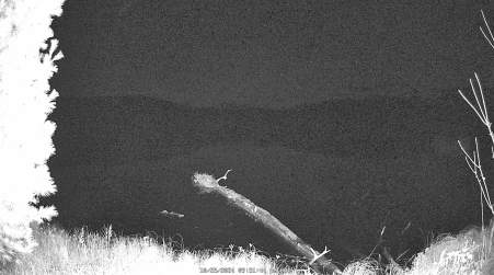 Image from 2024-10-25