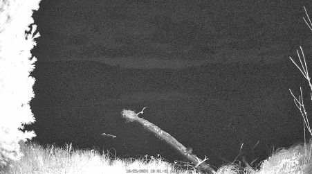 Image from 2024-10-25