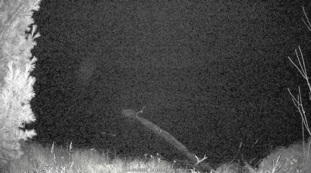Image from 2024-10-25