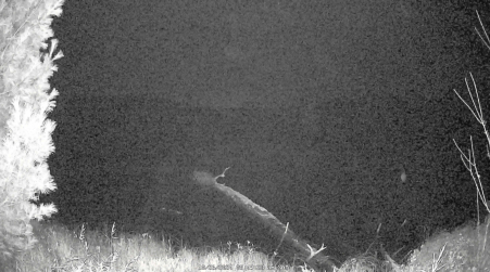 Image from 2024-10-26