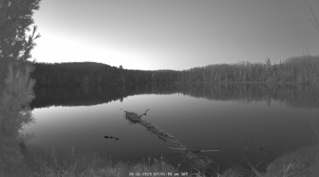 Image from 2024-10-26