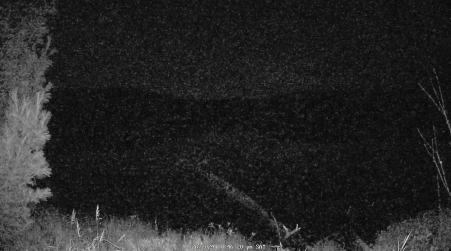 Image from 2024-10-26
