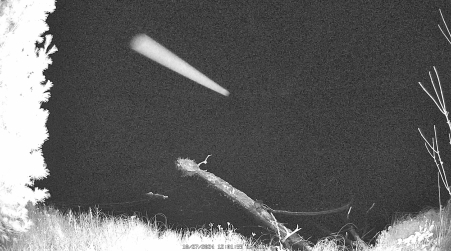 Image from 2024-10-27