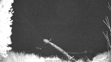 Image from 2024-10-27