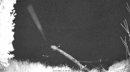 Image from 2024-10-27
