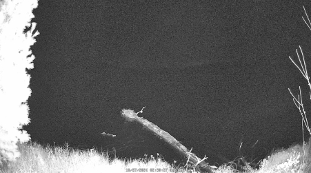Image from 2024-10-27