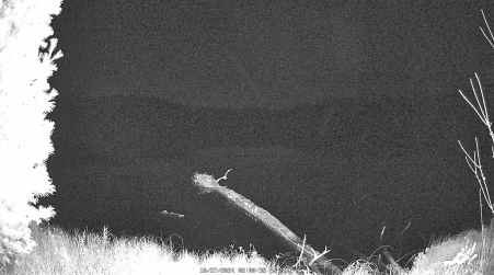 Image from 2024-10-27