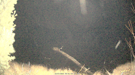 Image from 2024-10-27