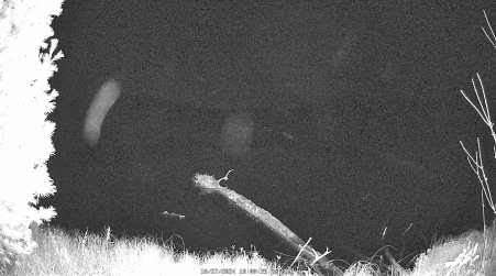 Image from 2024-10-27