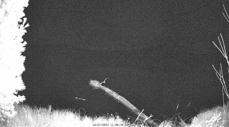Image from 2024-10-27