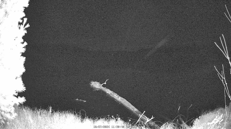 Image from 2024-10-27